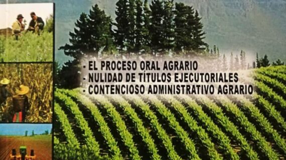Jurisprudencia agraria procesal y sustantiva