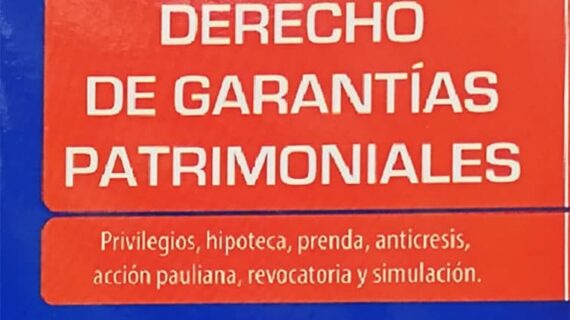 Derecho de garantías patrimoniales