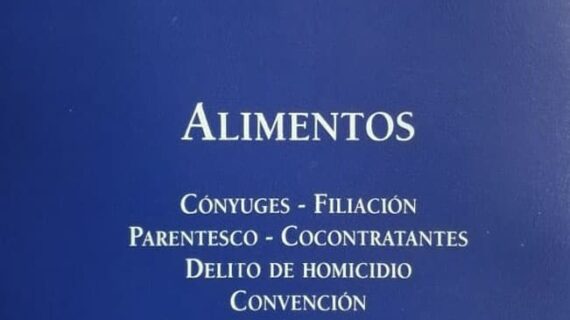 Digesto práctico (la ley)