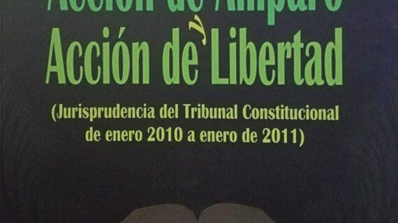 Acción de amparo y acción de libertad