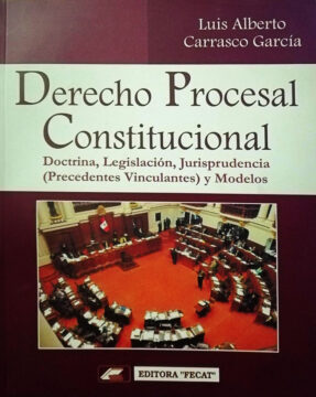 Derecho procesal constitucional