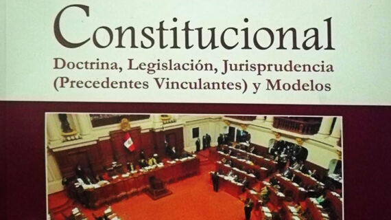 Derecho procesal constitucional