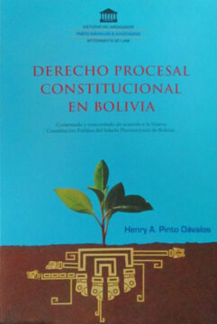 Derecho procesal constitucional en Bolivia