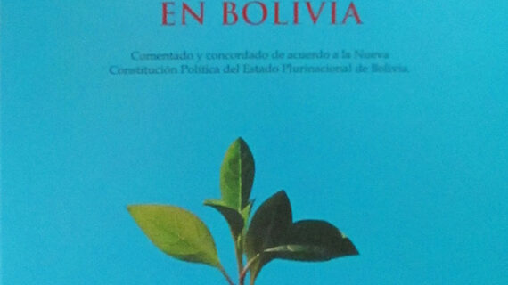 Derecho procesal constitucional en Bolivia