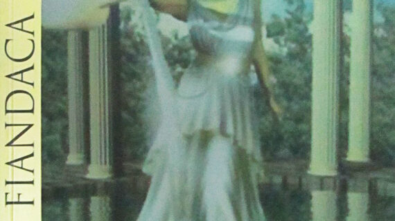 El derecho penal entre la ley y el juez