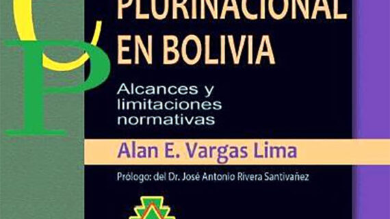 El tribunal constitucional plurinacional en Bolivia