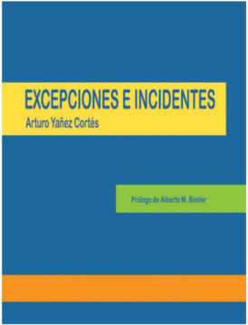Excepciones e incidentes