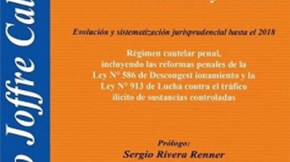 Manual de medidas cautelares personales y reales