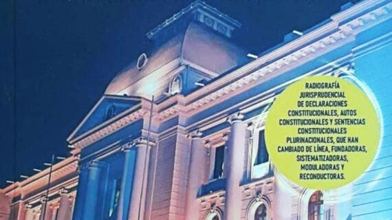 Resumen de sentencias constitucionales más relevantes