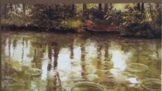 Sistema penal y estado de derecho