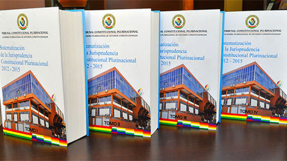 Sistematización de la jurisprudencia constitucional plurinacional (2012-2016)