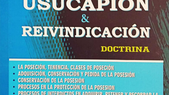 posesión usucapión y reinvindicación