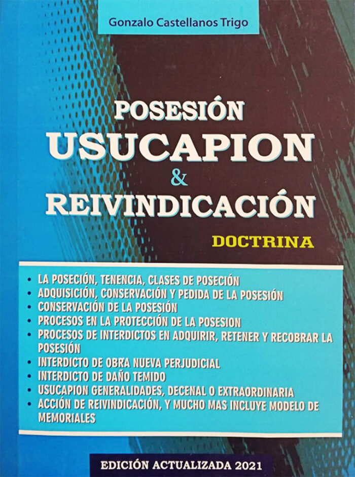 posesión usucapión y reinvindicación