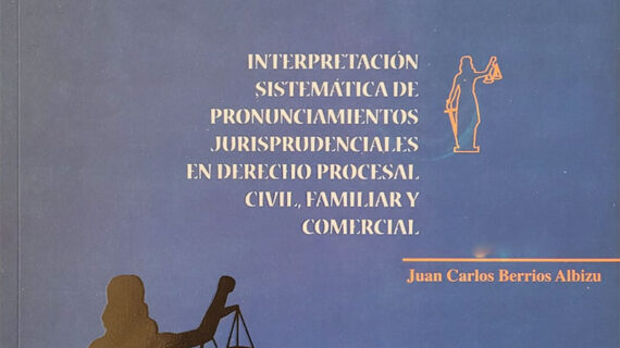 Jurisprudencia de Juan Carlos Berrios Albizu