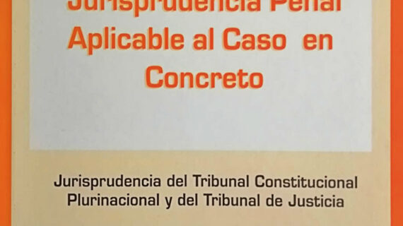 Jurisprudencia Penal Aplicable al Caso en Concreto de Alan Alejandro Sillerico Segurondo, Saulo Cristian Camacho Jorge