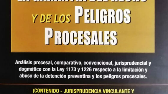 La Garantía del hecho y de los peligros procesales de Erwin Franco Choque Coronel