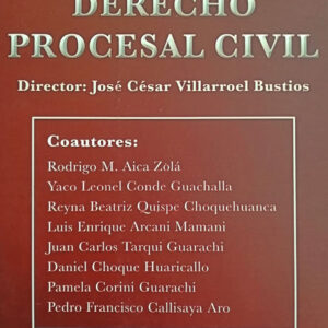 Estudios de Derecho Procesal Civil de José Cesar Villarroel Bustos