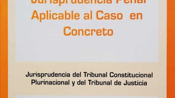 Jurisprudencia penal aplicable al caso concreto