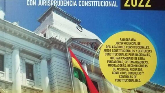 Resumen de Sentencias Constitucionales  más relevantes 2022