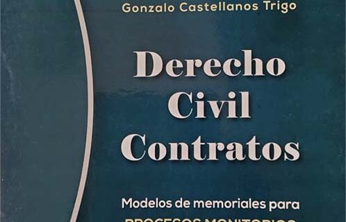 Derecho civil contratos modelos de memoriales para procesos monitorios ejecutivos y voluntarios