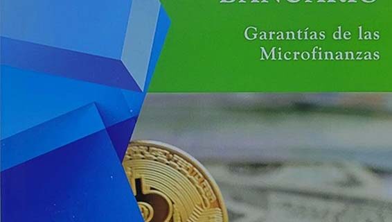 Introducción al derecho bancario Garantías de las microfinanzas Luis Américo Ayala Romero