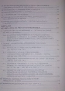 Casos sui generis revelantes en la práctica de la tramitación del proceso ordinario civil, con el código procesal civil ley No 439