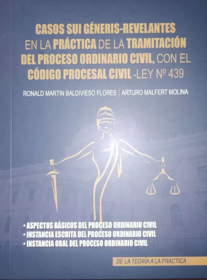 casos-sui-generis-relevantes-en-la-practica-de-la-tramitacion-del-proceso-ordinario-civil