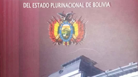 Diccionario normativo de la Constitución Política del Estado Plurinacional de Bolivia