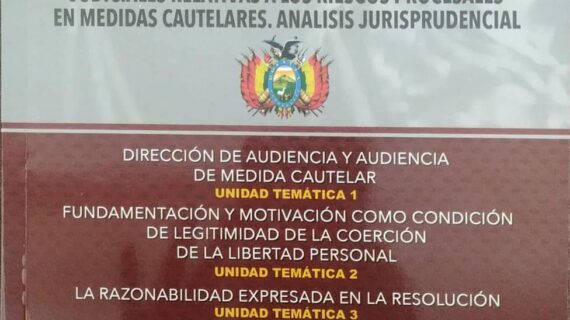 Fundamentación y motivación de resoluciones judiciales relativas a los riesgos procesales en medidas cautelares. Análisis jurisprudencial.