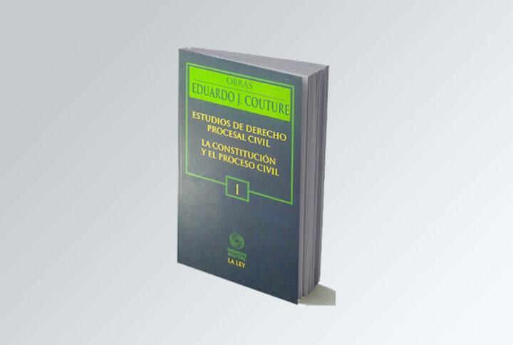 Estudios del derecho procesal civil la constitución y el proceso civil